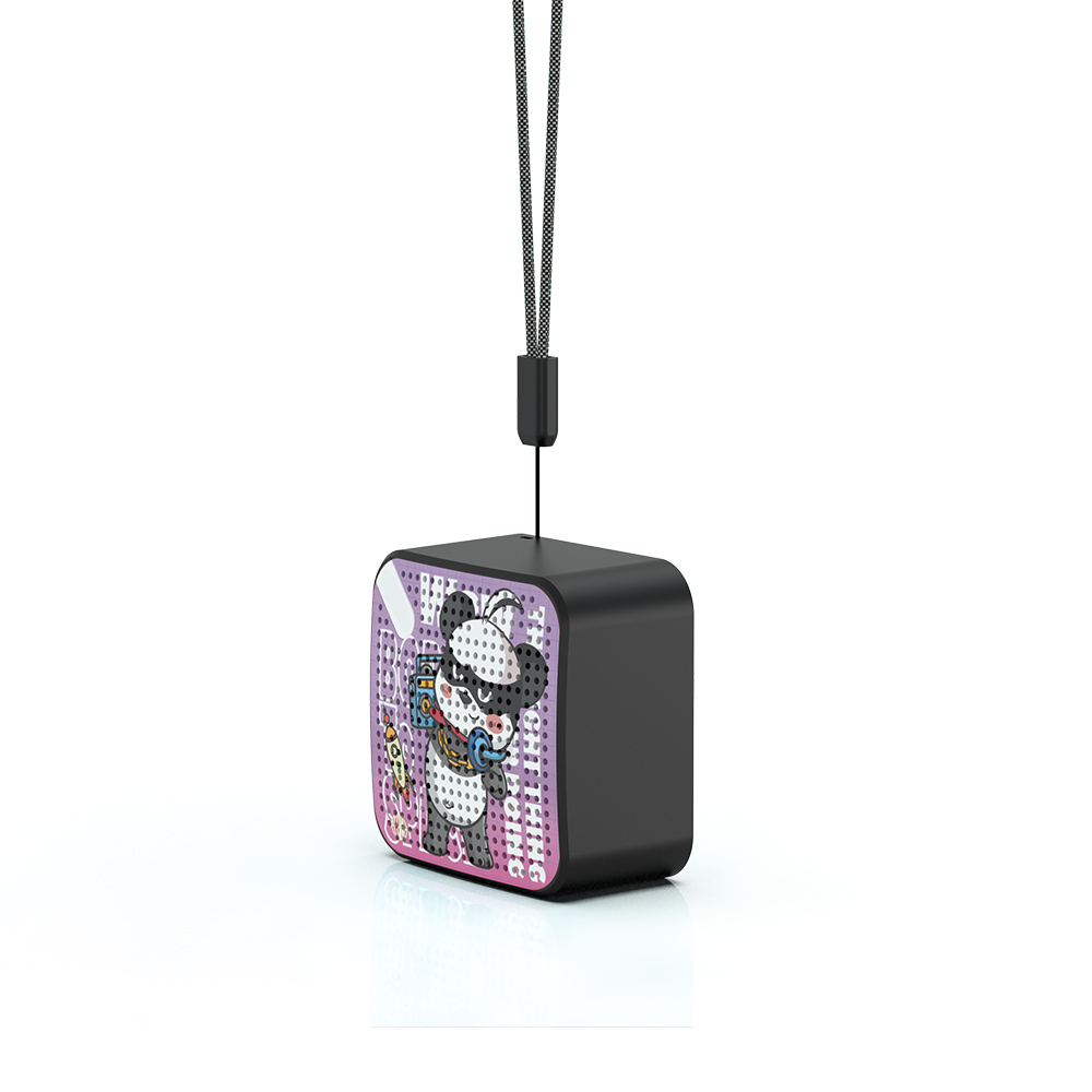 Portable Audio System